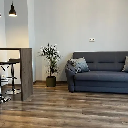 아파트 Cozy In Old & Free Underground Parking 리가